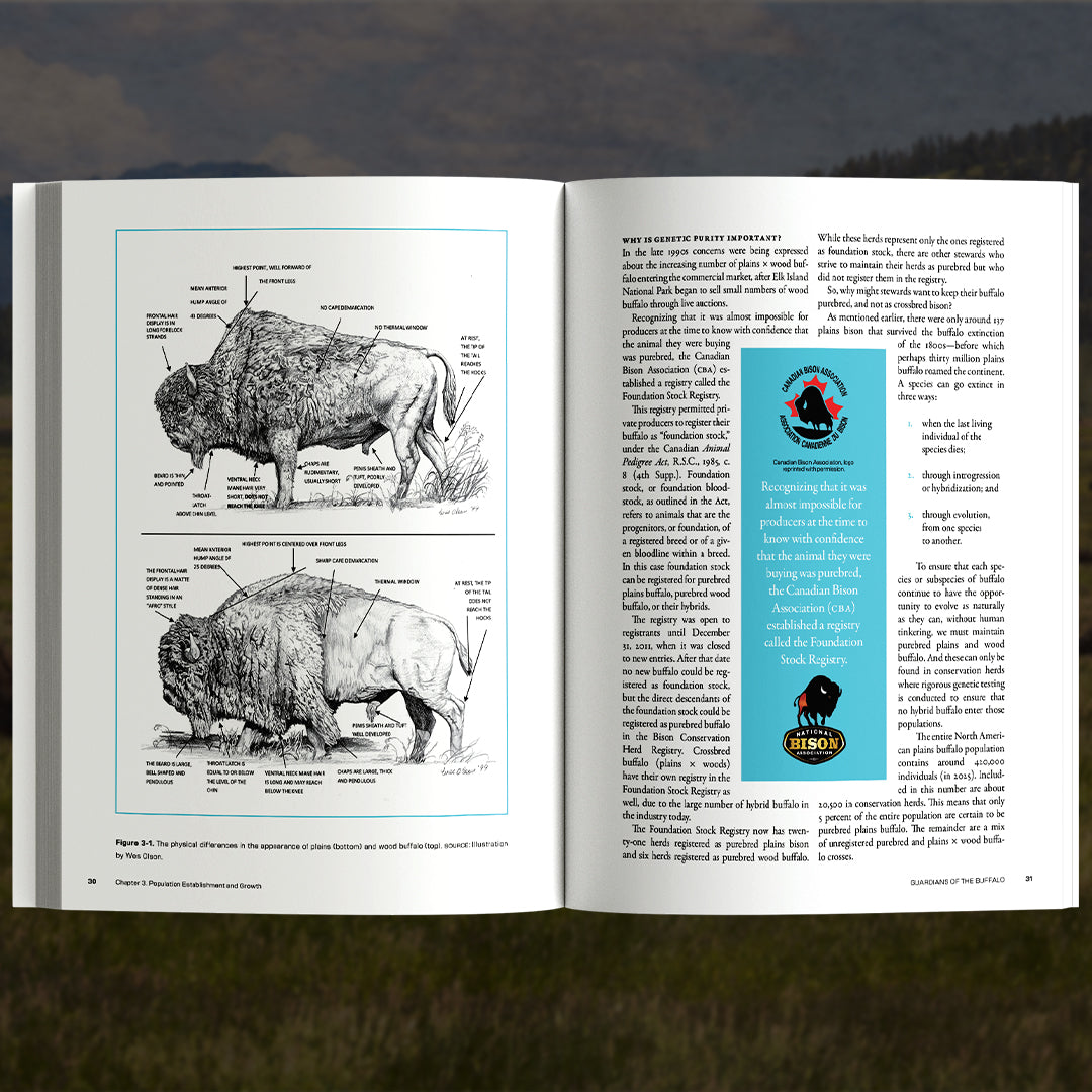 Guardians of the Buffalo: The Essential Guide to Bison Care (Pre-Order)