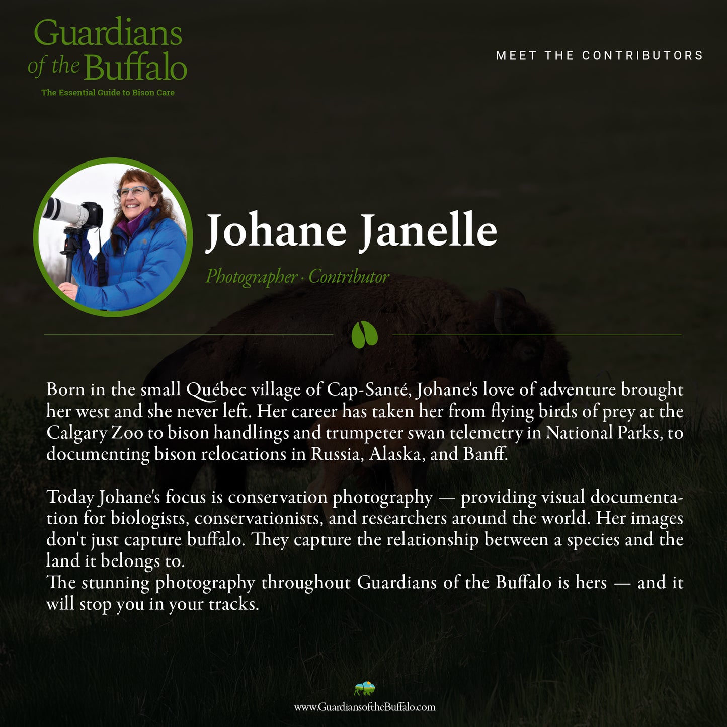 Guardians of the Buffalo: The Essential Guide to Bison Care (Pre-Order)