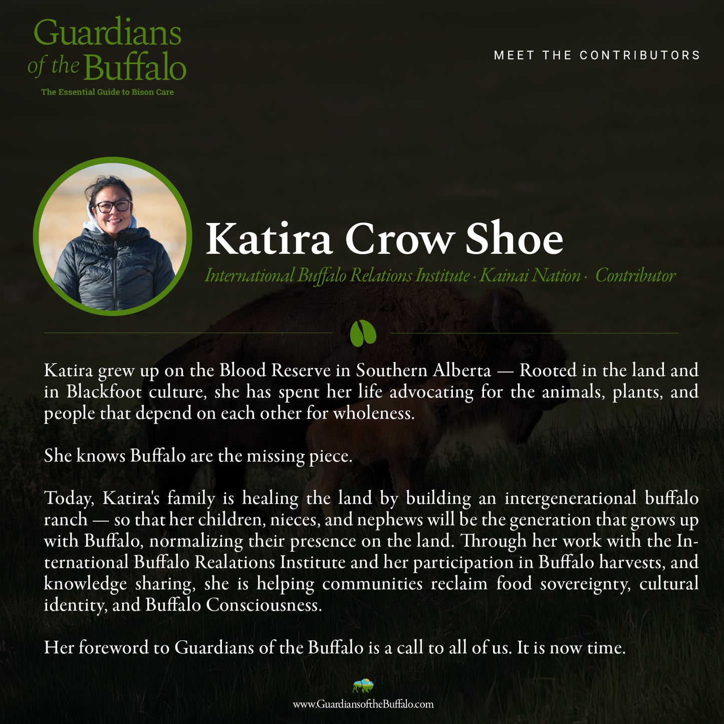 Guardians of the Buffalo: The Essential Guide to Bison Care (Pre-Order)